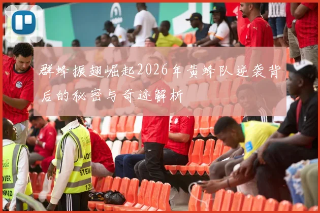 群蜂振翅崛起2026年黄蜂队逆袭背后的秘密与奇迹解析