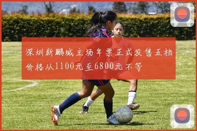 深圳新鹏城主场年票正式发售五档价格从1100元至6800元不等