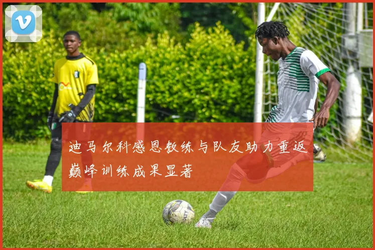 迪马尔科感恩教练与队友助力重返巅峰训练成果显著
