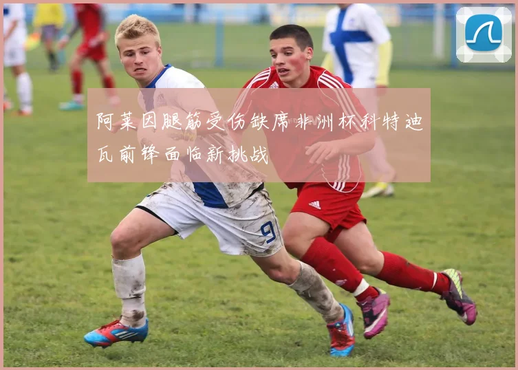 阿莱因腿筋受伤缺席非洲杯科特迪瓦前锋面临新挑战