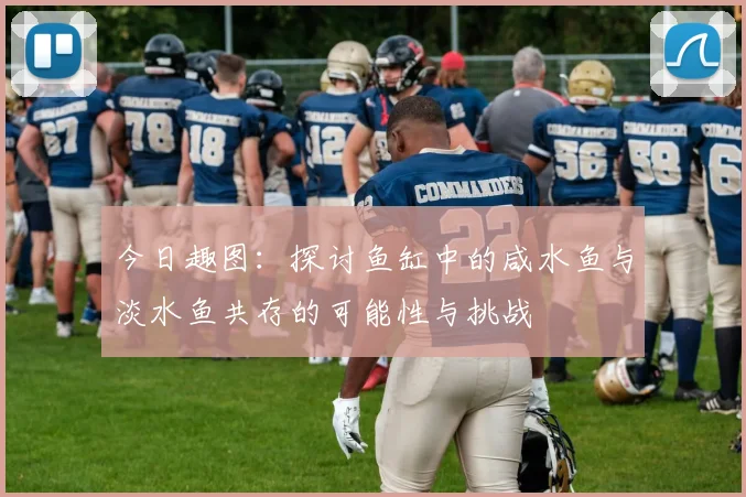 今日趣图：探讨鱼缸中的咸水鱼与淡水鱼共存的可能性与挑战